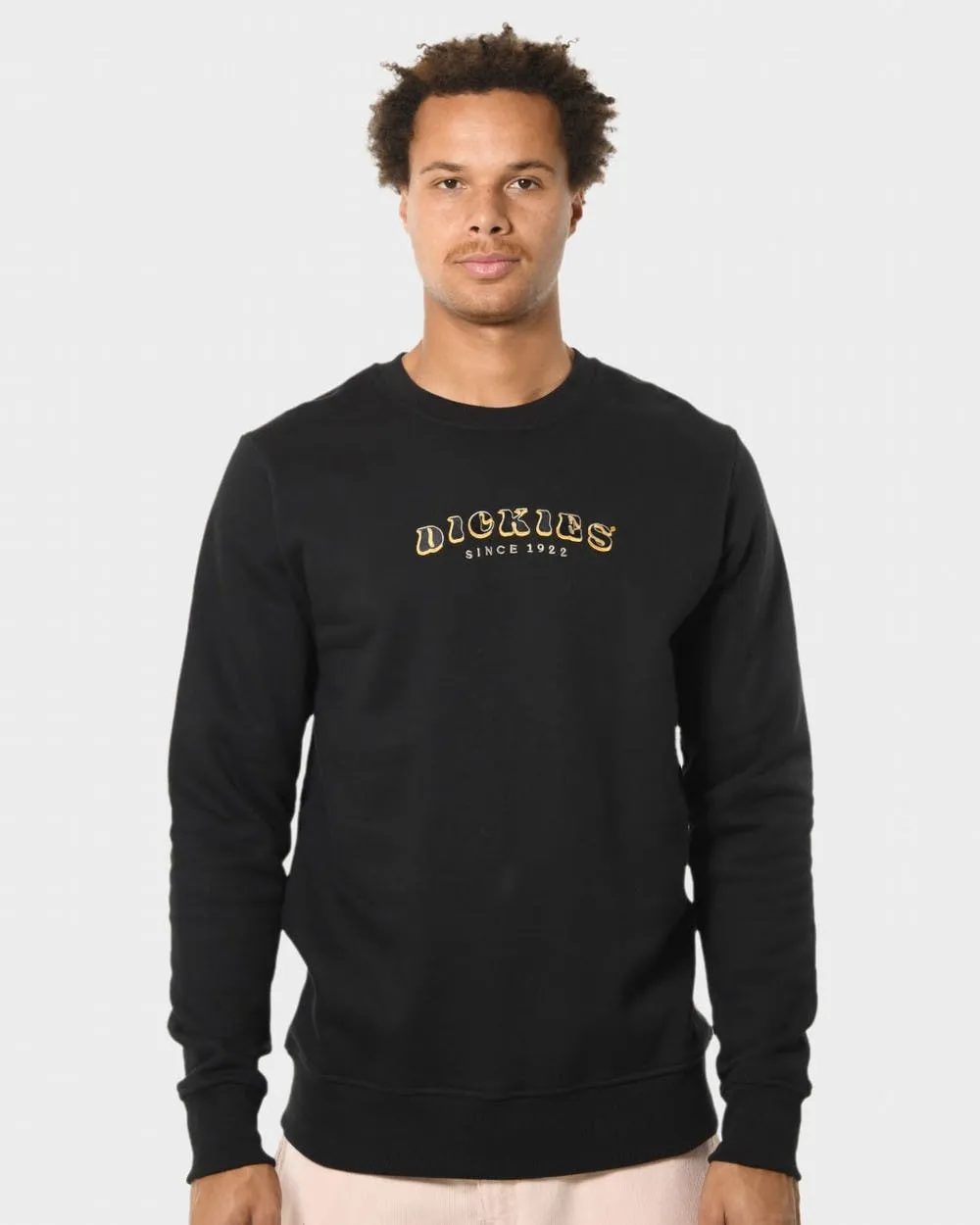 Dickies Cleaver Crew Neck Sweater