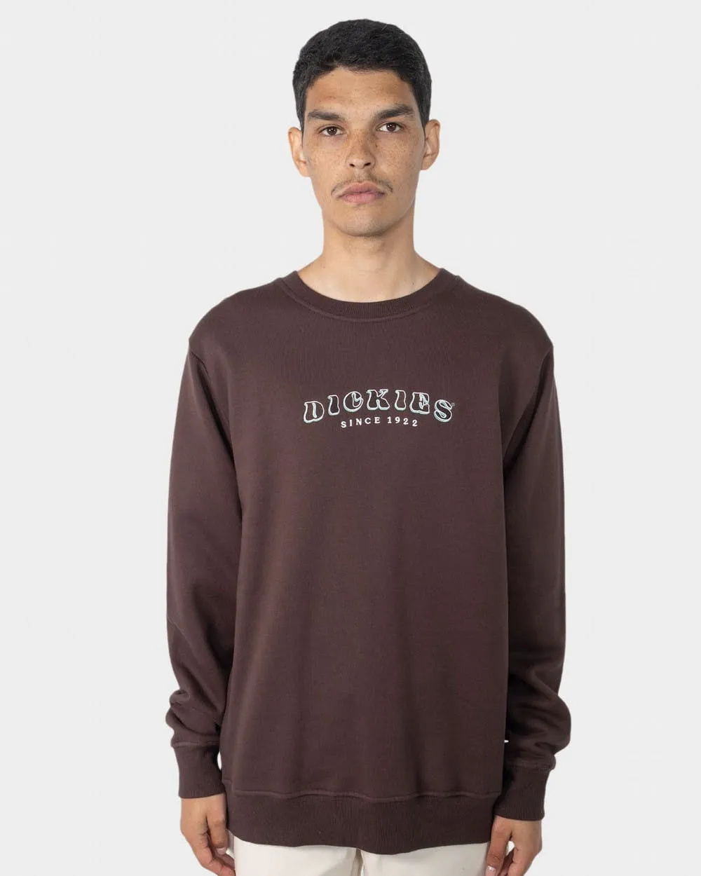 Dickies Cleaver Crew Neck Sweater