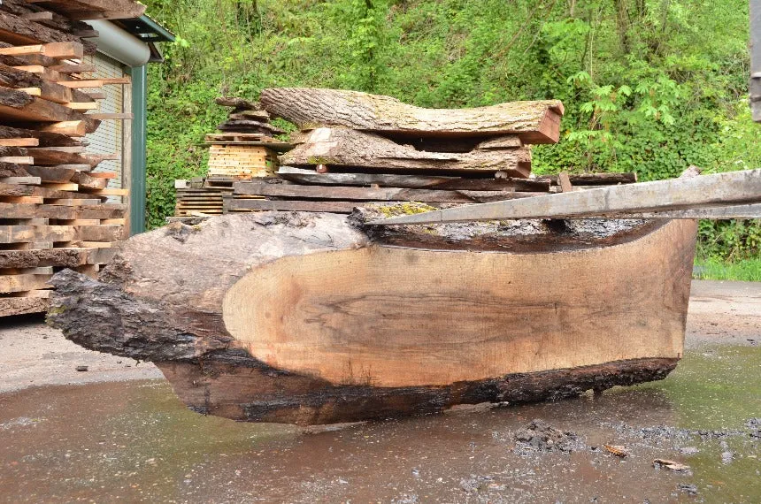 Oregon Black Walnut Slab 051222-05